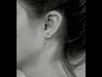 earringstud_800x600