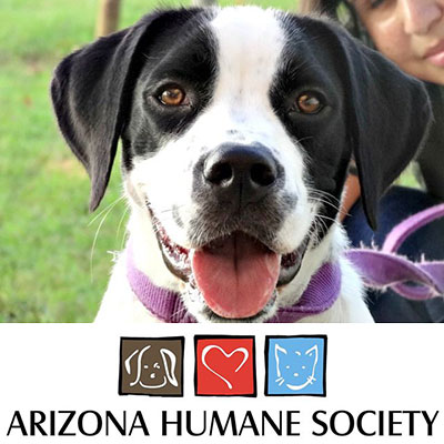 Join John Wallack jewelers in Sun City Arizona for our first Just Be Paws We Love Them charity fundraiser and supply drive benefiting the Arizona Humane Society on November 21, 2015 from 10 AM to 4 PM.