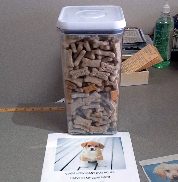 Guess many dog bones are in the container for a chance to win a lab grown one carat diamond during our Arizona Humane Society charity fundraiser on Dec. 2, 2023 at John Wallick Jewelers in Sun City, AZ Guess many dog bones are in the container for a chance to win a lab grown one carat diamond during our Arizona Humane Society charity fundraiser on Dec. 2, 2023 at John Wallick Jewelers in Sun City, AZ