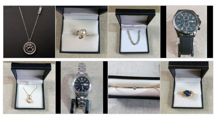 2018 Arizona Humane Society Charity Fundraiser Door Prize Drawing - Win Jewelry at John Wallick Jewelers in Sun City, Arizona