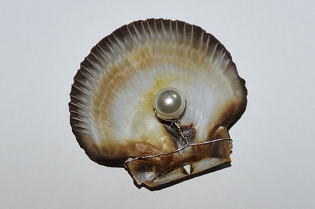 Learn How Pearls Are Formed at John Wallick Jewelers in Sun City Arizona Near Phoneix, AZ